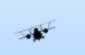 Dogflight + Flight