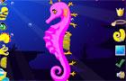 Seahorse